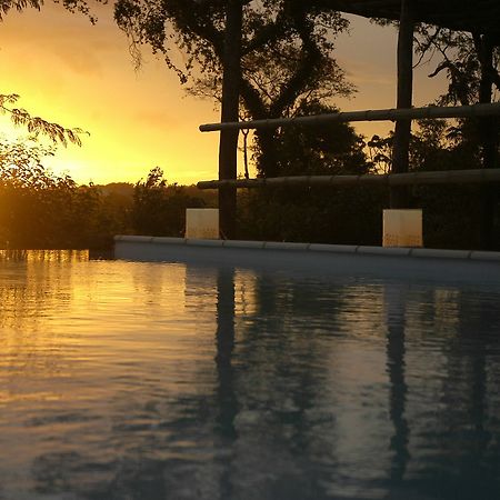 Raices Amambai Lodges Puerto Iguazu Bagian luar foto